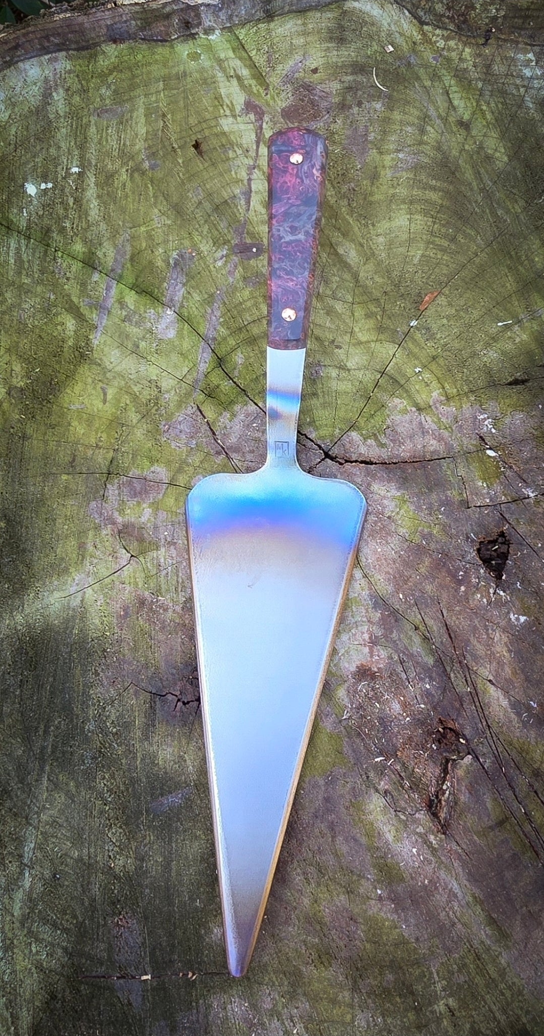 Titanium Cake Server