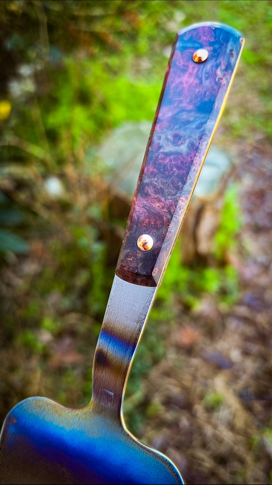 Titanium Cake Server